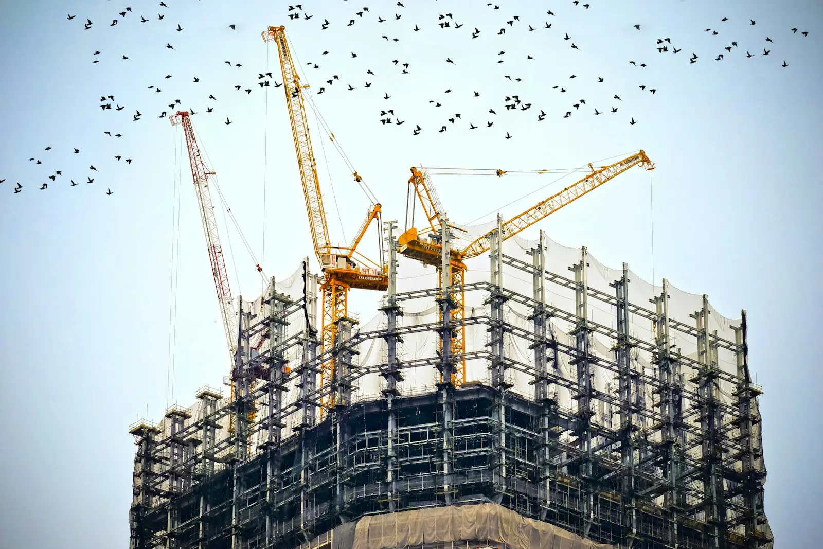 High-rise building wrapped in scaffolding with construction cranes above